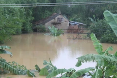 Nhiều hộ dân xã Hương Đô, huyện Hương Khê, tỉnh Hà Tĩnh bị ngập chìm trong nước lũ. (Ảnh: Phan Quân/TTXVN) 