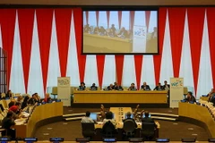 Một phiên họp của ECOSOC. (Nguồn: iisd.ca) 