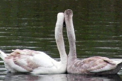 Ảnh minh họa. (Nguồn: lifehack.org)