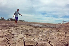 Ảnh minh họa. (Nguồn: TTXVN)