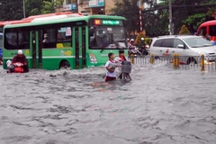 Ảnh minh họa. (Nguồn: TTXVN)