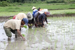 Không chủ quan trong lấy nước cho vụ Đông Xuân 2016-2017 