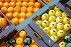 Ảnh minh họa. (Nguồn: fruitnet.com)