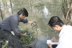Đo nồng độ mặn trên sông Cái Lớn. (Nguồn: TTXVN)