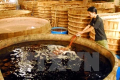Sản xuất nước mắm truyền thống ở Phú Quốc. (Nguồn: TTXVN)