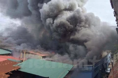 Ảnh minh họa. (Nguồn: Vietnam+)