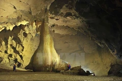Các cột thạch nhũ lấp lánh ánh vàng cao như một tòa nhà nằm trong lòng hang Tối. (Ảnh: Minh Đức/TTXVN)