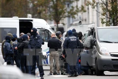 Cảnh sát Bỉ tiến hành chiến dịch truy quét khủng bố tại Molenbeek thuộc Brussels. (Nguồn: THX/TTXVN)