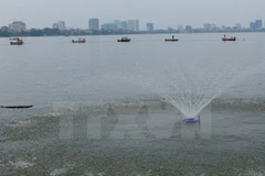 Ảnh minh họa. (Nguồn: TTXVN)