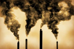 (Nguồn: Inhabitat)