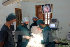 Ảnh minh họa. (Nguồn: TTXVN)