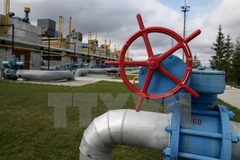 Đường ống dẫn khí đốt tại trạm cung cấp khí gần làng Volovets, miền tây Ukraine. (Nguồn: Reuters/TTXVN) 