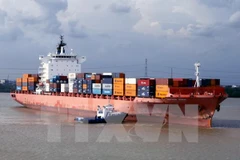 Ảnh minh họa. (Nguồn: TTXVN)