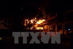 Ảnh minh họa. (Nguồn: THX/TTXVN)