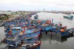 Ảnh minh họa. (Nguồn: TTXVN)