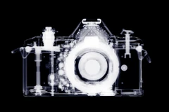 Ảnh minh họa. (Nguồn: articles.dailypress.com)