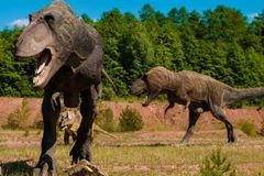 (Nguồn: deccanchronicle.com)