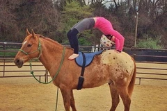 (Nguồn: Dailymail)