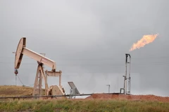 Ảnh minh họa. (Nguồn: AFP/TTXVN)