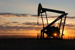 Ảnh minh họa. (Nguồn: AP)