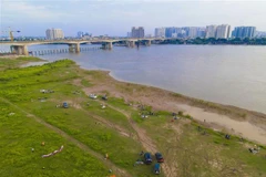 Bãi bồi ven sông Hồng. (Ảnh: TTXVN phát)