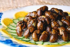 Ảnh minh họa. (Nguồn: NCBC News)