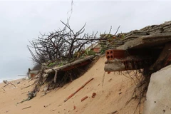 Sóng biển dâng cao, triều cường gây sạt lở bờ biển phường 7, thành phố Tuy Hòa, Phú Yên. (Ảnh minh họa: Phạm Cường/TTXVN)