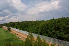 Hàng rào biên giới Ba Lan- Belarus gần làng Tolcze, đông bắc Ba Lan, ngày 8/6/2022. (Ảnh: AFP/TTXVN)