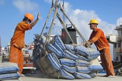 Công nhân bốc xếp ximăng xuất khẩu tại cảng Thị Nại. (Ảnh: Viết Ý/TTXVN)
