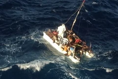 Ảnh chỉ có tính minh họa. (Nguồn: tampabay.com)