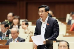 Đại biểu Quốc hội tỉnh Bình Định Nguyễn Văn Cảnh phát biểu ý kiến. (Ảnh: Phạm Kiên/TTXVN)