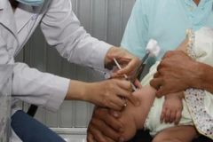 Ảnh chỉ có tính minh họa. (Ảnh: Phương Vy/TTXVN)