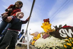 Các tác phẩm hoa hồng được trưng bày tại lễ hội. (Nguồn: THX/TTXVN)