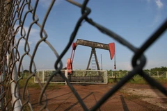 Tổng thống Venezuela kêu gọi giảm sự phụ thuộc vào dầu mỏ. (Nguồn: wupr.org)