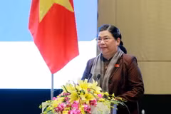 Phó Chủ tịch Thường trực Quốc hội Tòng Thị Phóng, Trưởng ban tổ chức APPF-26, phát biểu tại hội nghị. (Ảnh: An Đăng/TTXVN)