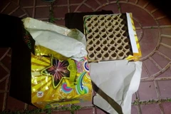 Ảnh chỉ có tính minh họa. (Ảnh: Quang Thái/TTXVN)