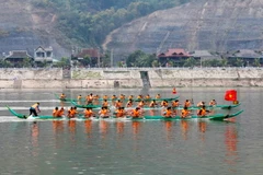 Các đội đua tranh tài tại lễ hội. (Ảnh: Xuân Tư/TTXVN)