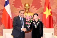 Chủ tịch Quốc hội Nguyễn Thị Kim Ngân tiếp Chủ tịch Hạ viện Chi lê Fidel Espinoza Sandoval. (Ảnh: Trọng Đức/TTXVN)