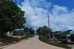 (Ảnh minh họa: Dư Toán/TTXVN)