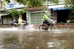 (Ảnh minh họa: Nguyên Linh/TTXVN)