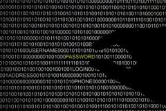 Trang web của Bộ Thông tin Myanmar bị tấn công từ nước ngoài