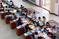 (Ảnh minh họa: Hoàng Hùng/TTXVN)