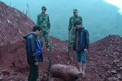 (Ảnh minh họa: Võ Dung/TTXVN)