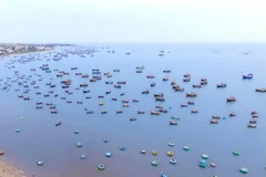 (Ảnh minh họa: Mạnh Linh/TTXVN)