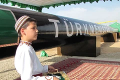 (Nguồn: rferl.org)