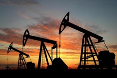 Ảnh minh họa. (Nguồn: yalibnan.com)