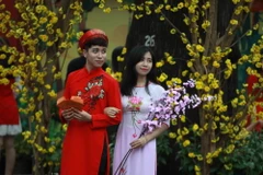 Phố Ông đồ thu hút đông đảo các gia đình đến tham quan. (Ảnh: Phương Vy/TTXVN)