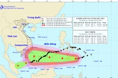 Chùm ảnh đường đi và vị trí cơn bão. (Nguồn: nchmf.gov.vn)
