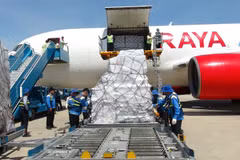 Các lực lượng tiếp nhận hàng cứu trợ của ASEAN tại sân bay quốc tế Cam Ranh. (Ảnh: Nguyên Lý/TTXVN)