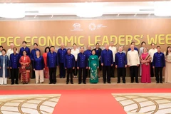 Chủ tịch nước và các nhà lãnh đạo kinh tế APEC chụp ảnh lưu niệm 